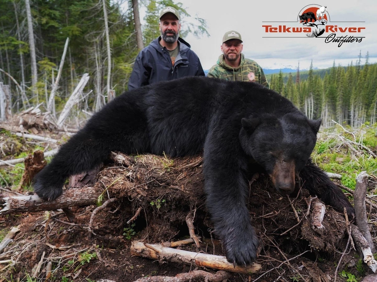 British Columbia Black Bear Hunting Guides | Spot & Stalk Spring Bear ...